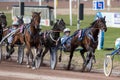 Harness racing in Sweden